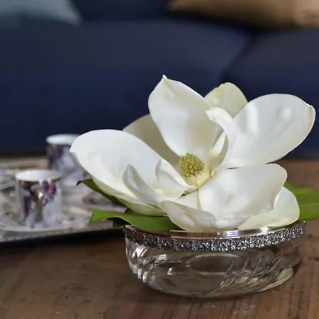 La Fleur Morange House Bed & Breakfast *